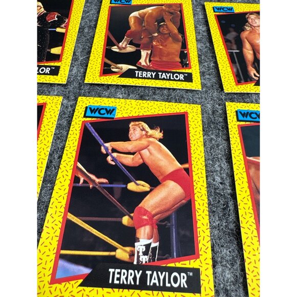WCW 1991 Terry Taylor Wrestling Trading Cards Set Of 12 - Picture 3 of 5